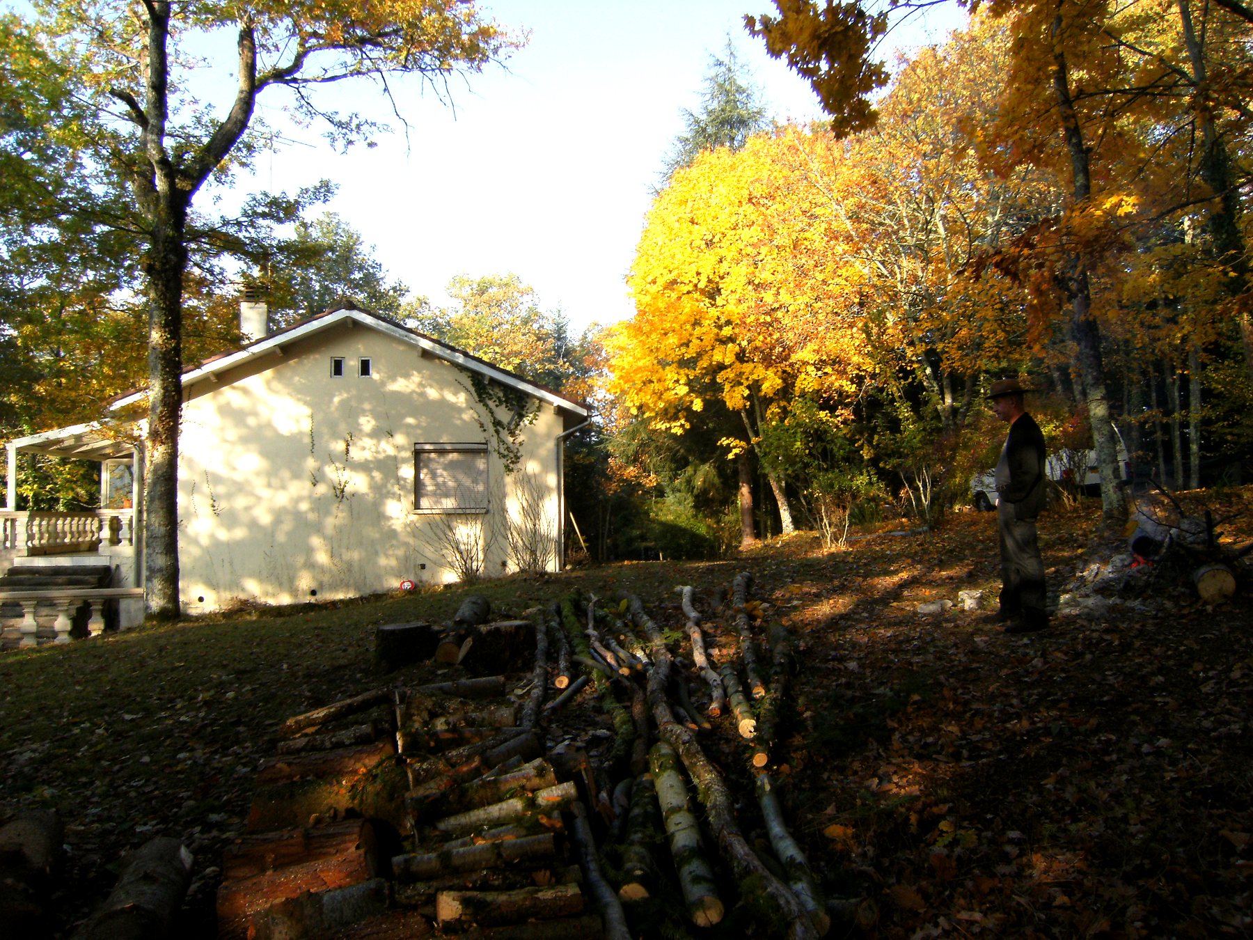 La maison vue depuis la forêt d'automne avec le bois de chauffage rangé le long du talus — maison à vendre avec étang et forêt en Charente