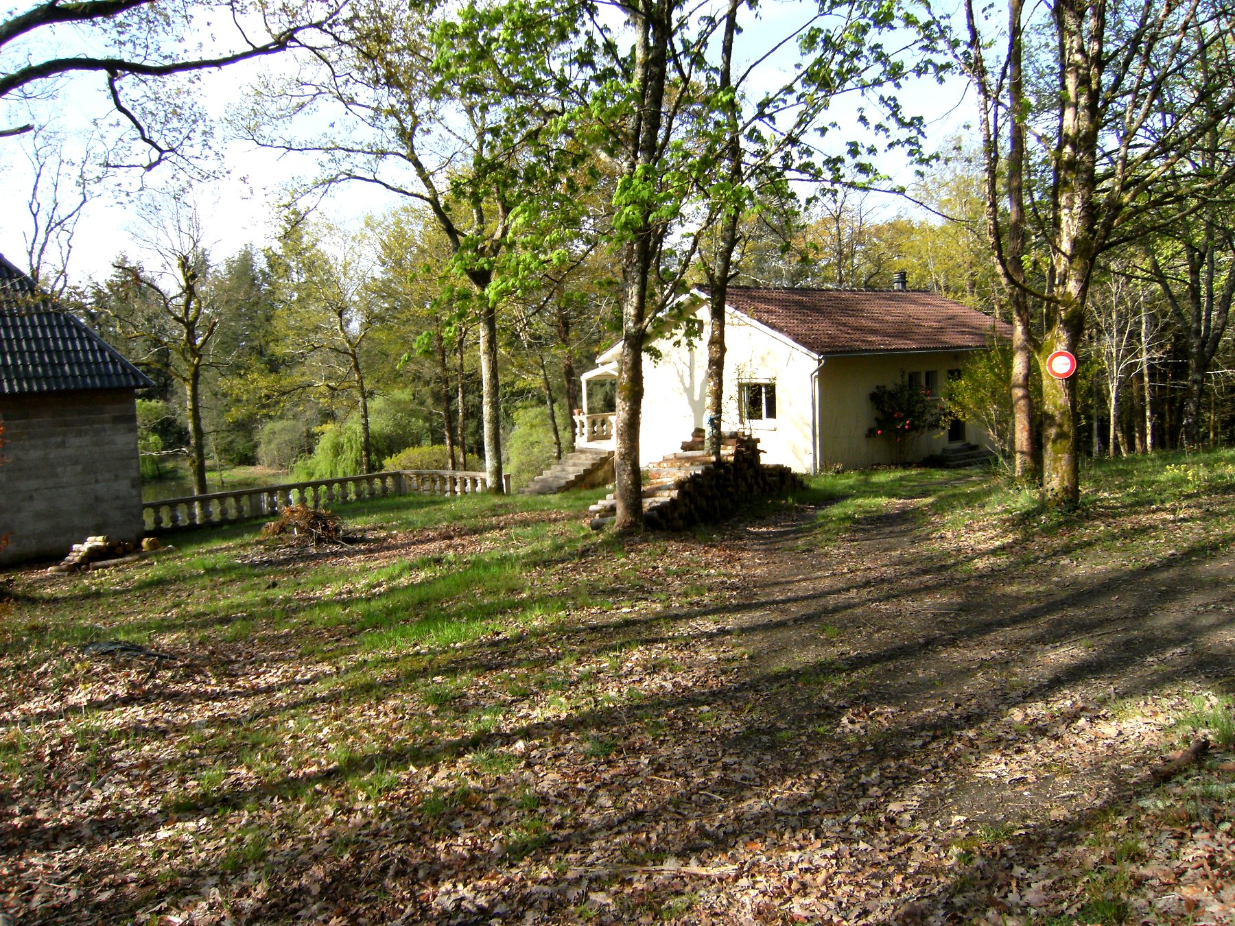 La maison de 1960 dans son écrin de sous-bois, prairie et arbres autour — maison à vendre avec étang et forêt en Charente