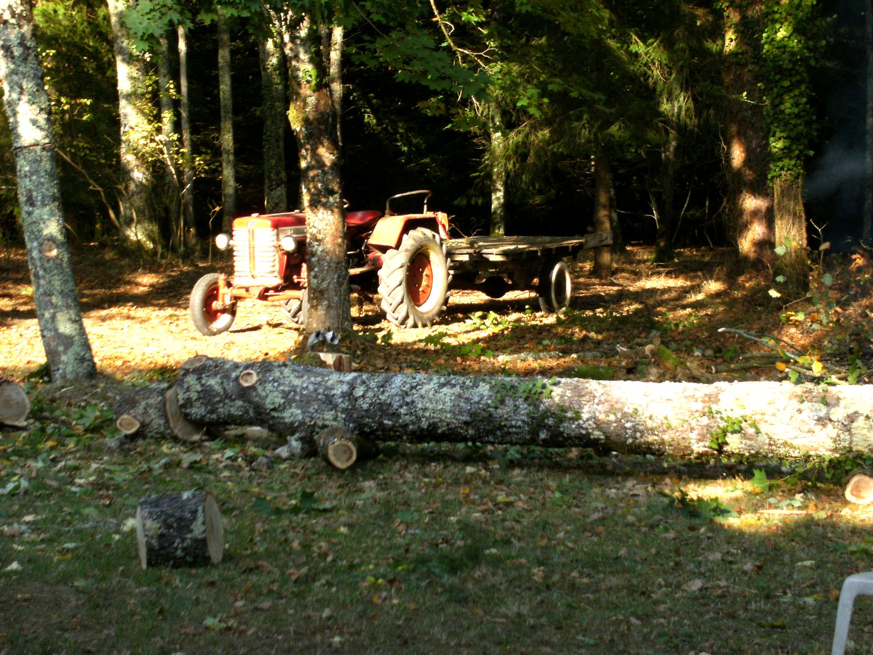 Tracteur ancien dans le sous-bois verdoyant — propriété avec étang et forêt à vendre en Charente