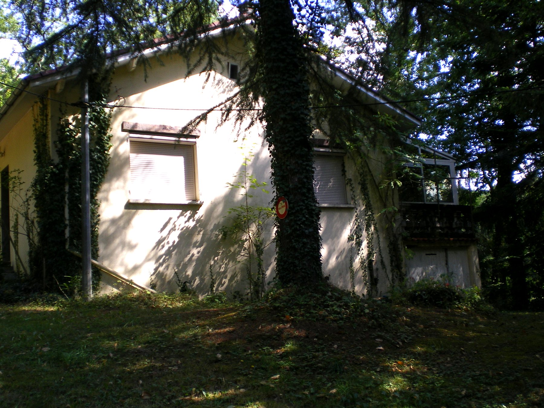 Pignon de la maison habillé de lierre, côté jardin et sous-bois — maison à vendre avec étang et forêt en Charente