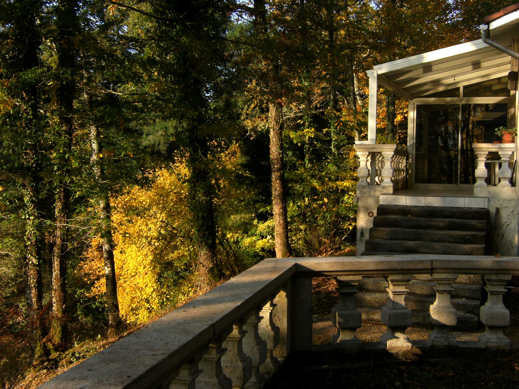 Escalier de pierre montant vers la terrasse couverte de la maison, bordé de forêt — maison à vendre avec étang et forêt en Charente