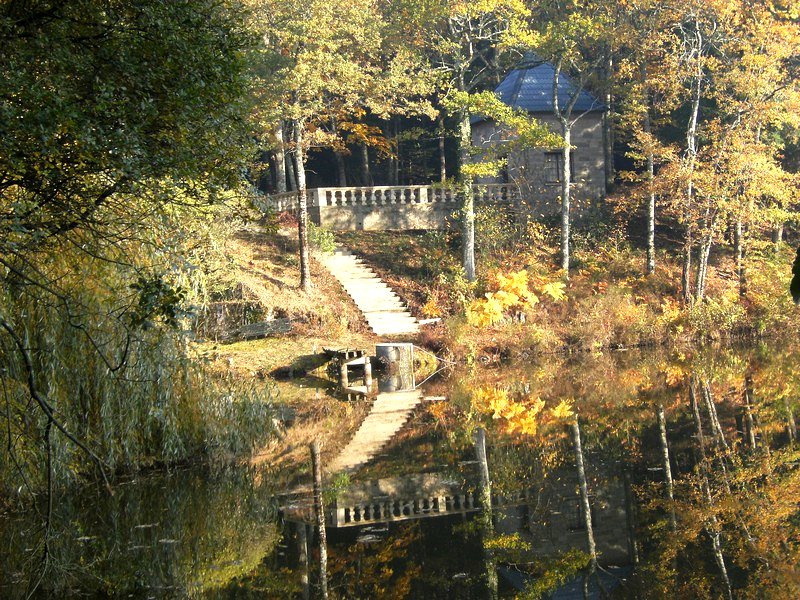 L'escalier de pierre descendant vers la tour au bord de l'étang — maison à vendre avec étang et forêt en Charente
