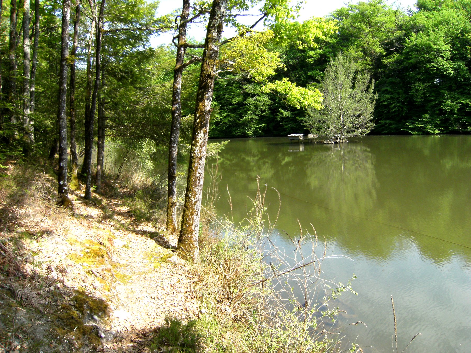 Étang aux eaux vertes du printemps — propriété avec étang et forêt à vendre en Charente
