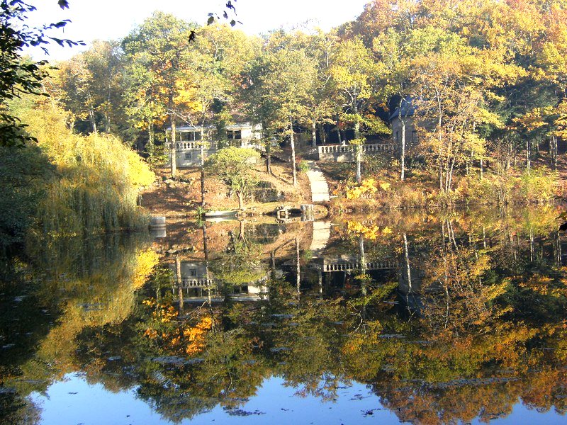 La maison et la tour de pierre reflétées dans l'étang — maison à vendre avec étang et forêt en Charente