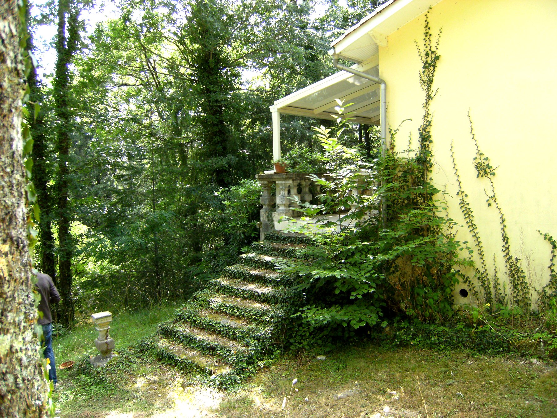Terrasse couverte de la maison et végétation grimpante en été, escalier de pierre dans la verdure — maison à vendre avec étang et forêt en Charente